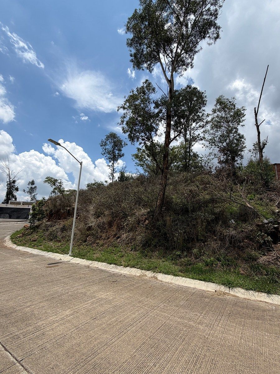 Terreno en Tenencia de Morelos, Morelia, foto 5 de 8