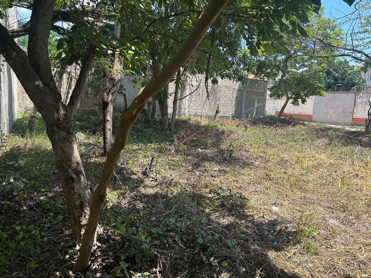 Terreno plan. de ayala, foto 1 de 9