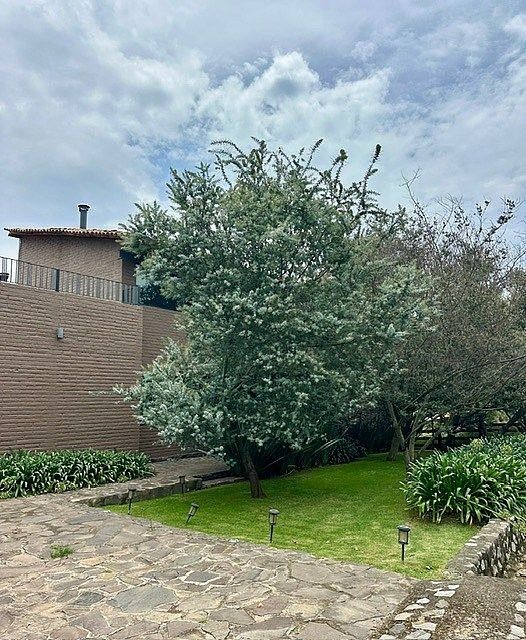 Casa en condominio en Tapalpa Country Club, Tapalpa, foto 18 de 20