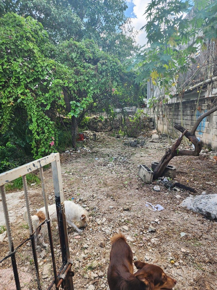 Casa em Mérida Centro, Mérida, foto 20 de 21