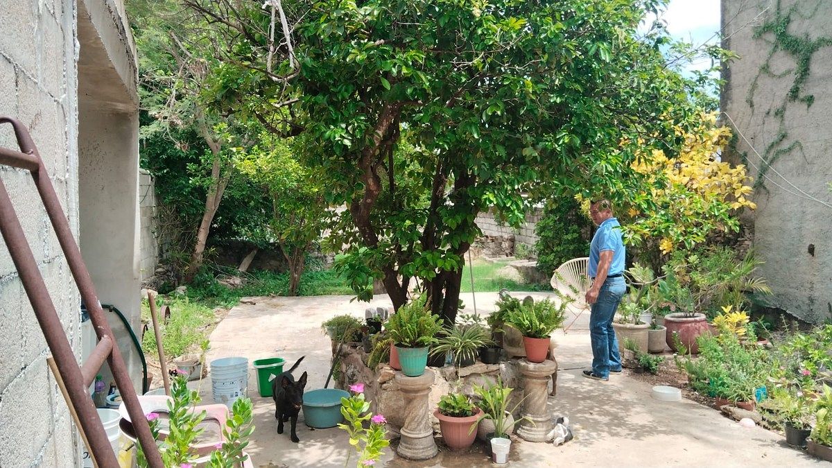 Casa em García Gineres, Mérida, foto 15 de 18