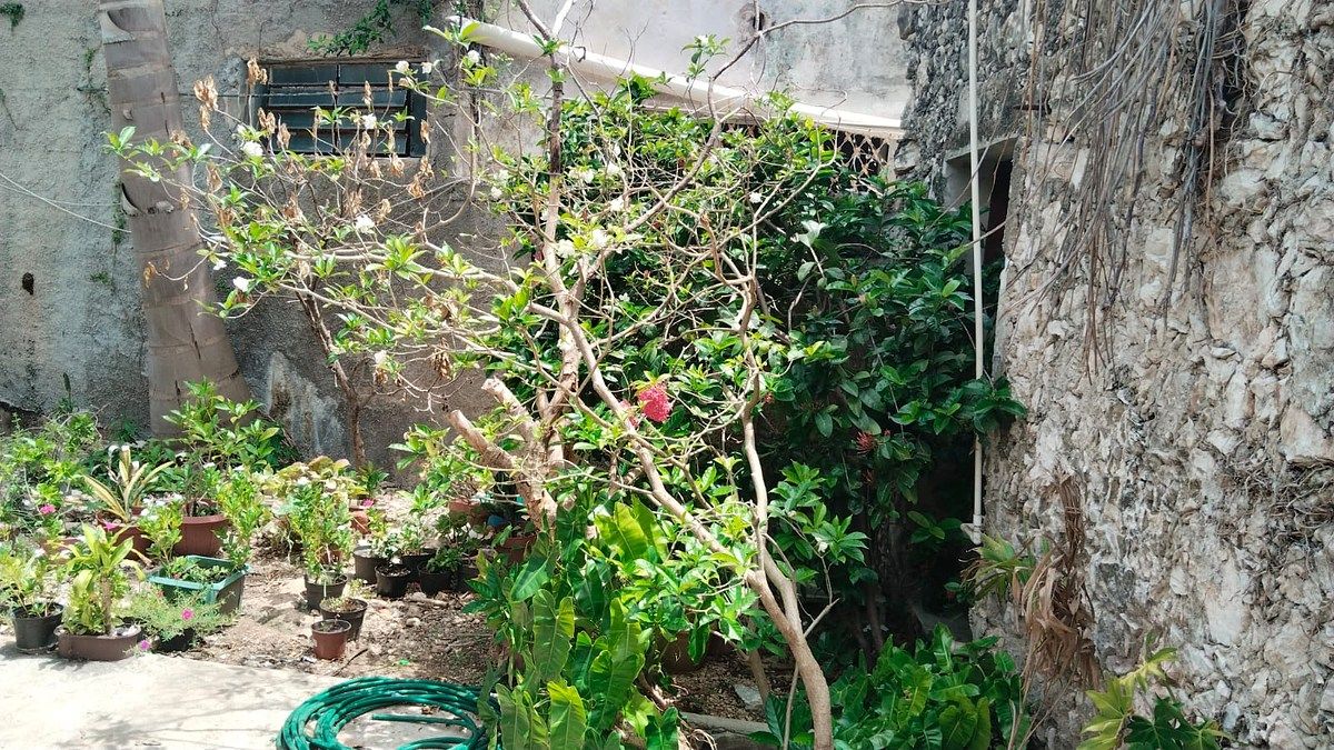 Casa em García Gineres, Mérida, foto 17 de 18