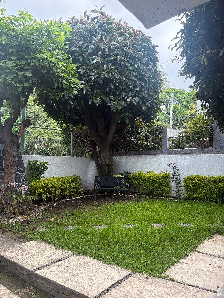 Jardin, foto 2 de 22