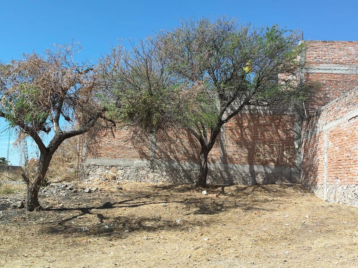 Lote em Ejido de Tirado, San Miguel de Allende, foto 2 de 2