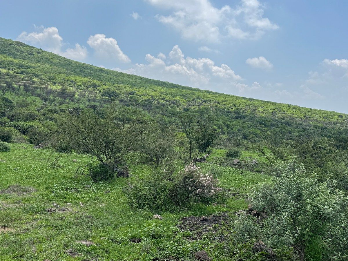 Lote em El Rosario, El Marqués, foto 4 de 11