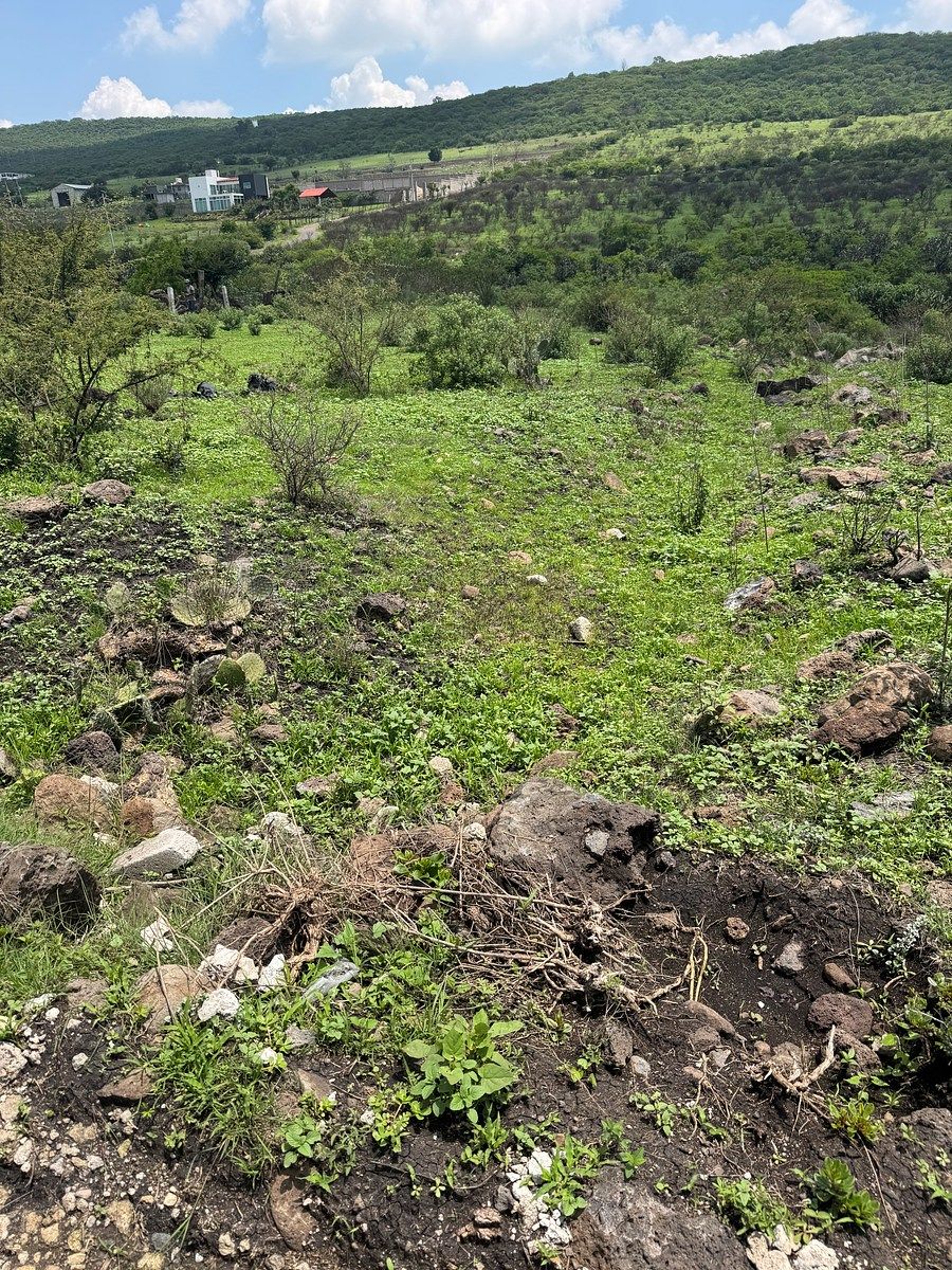 Lote em El Rosario, El Marqués, foto 11 de 11