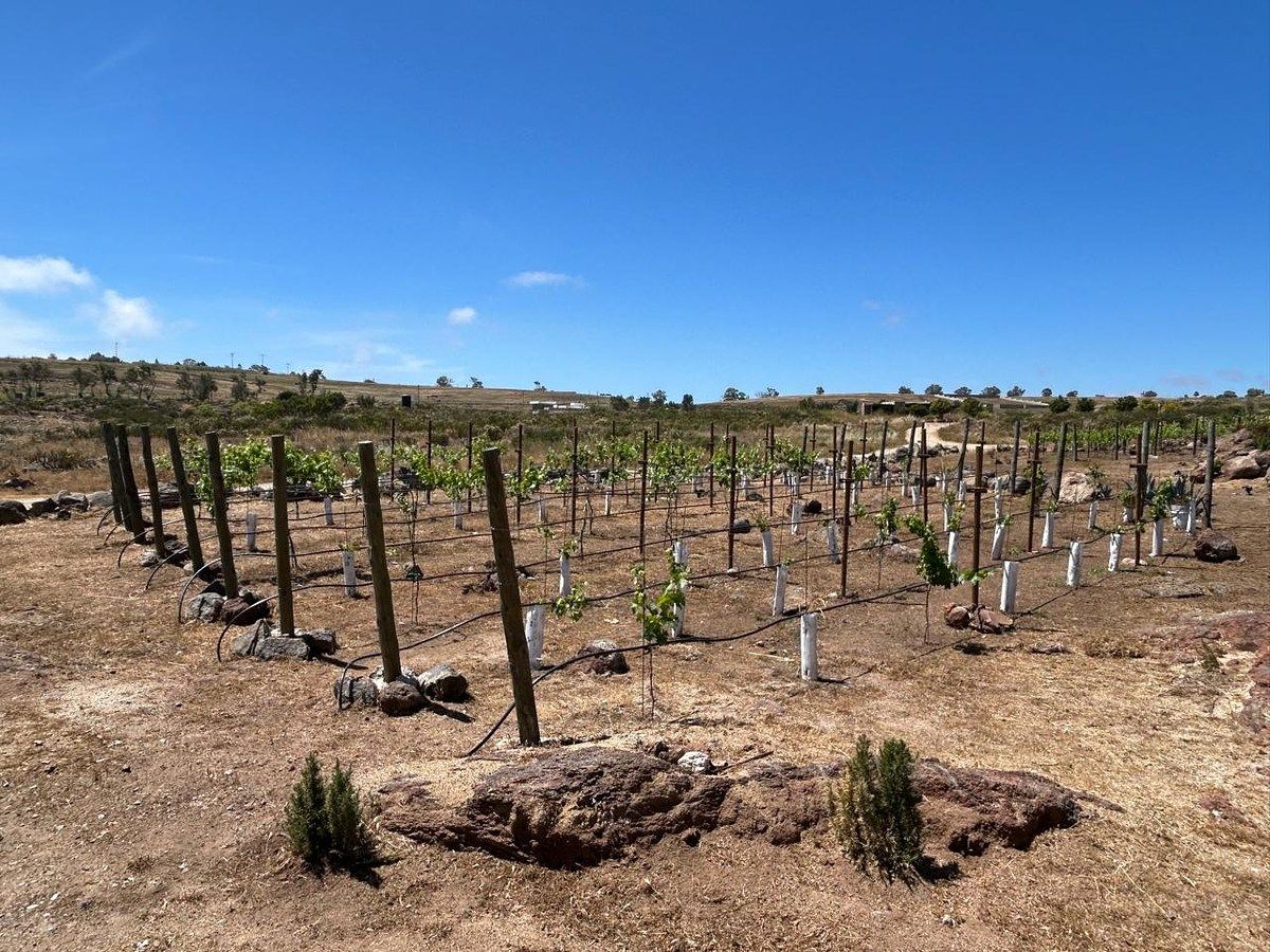 Casa em Valle de Guadalupe, Ensenada, foto 31 de 34