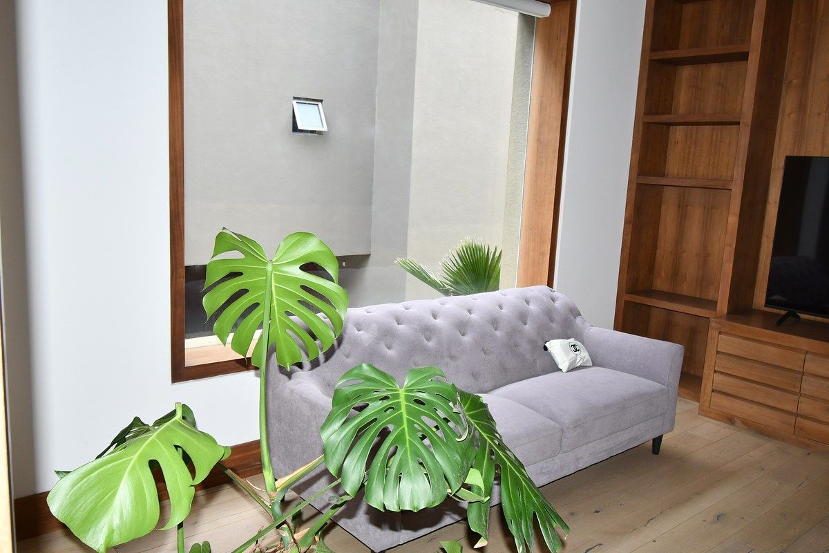 House in Jardines del Pedregal, Álvaro Obregón, photo 17 of 50