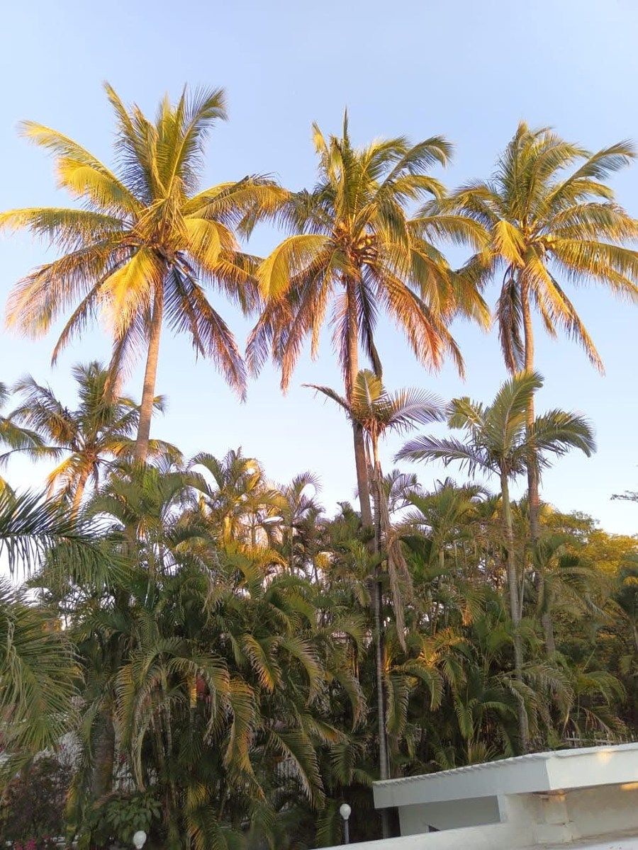 Chácara em Huertas de Cuautla, Ayala, foto 7 de 23