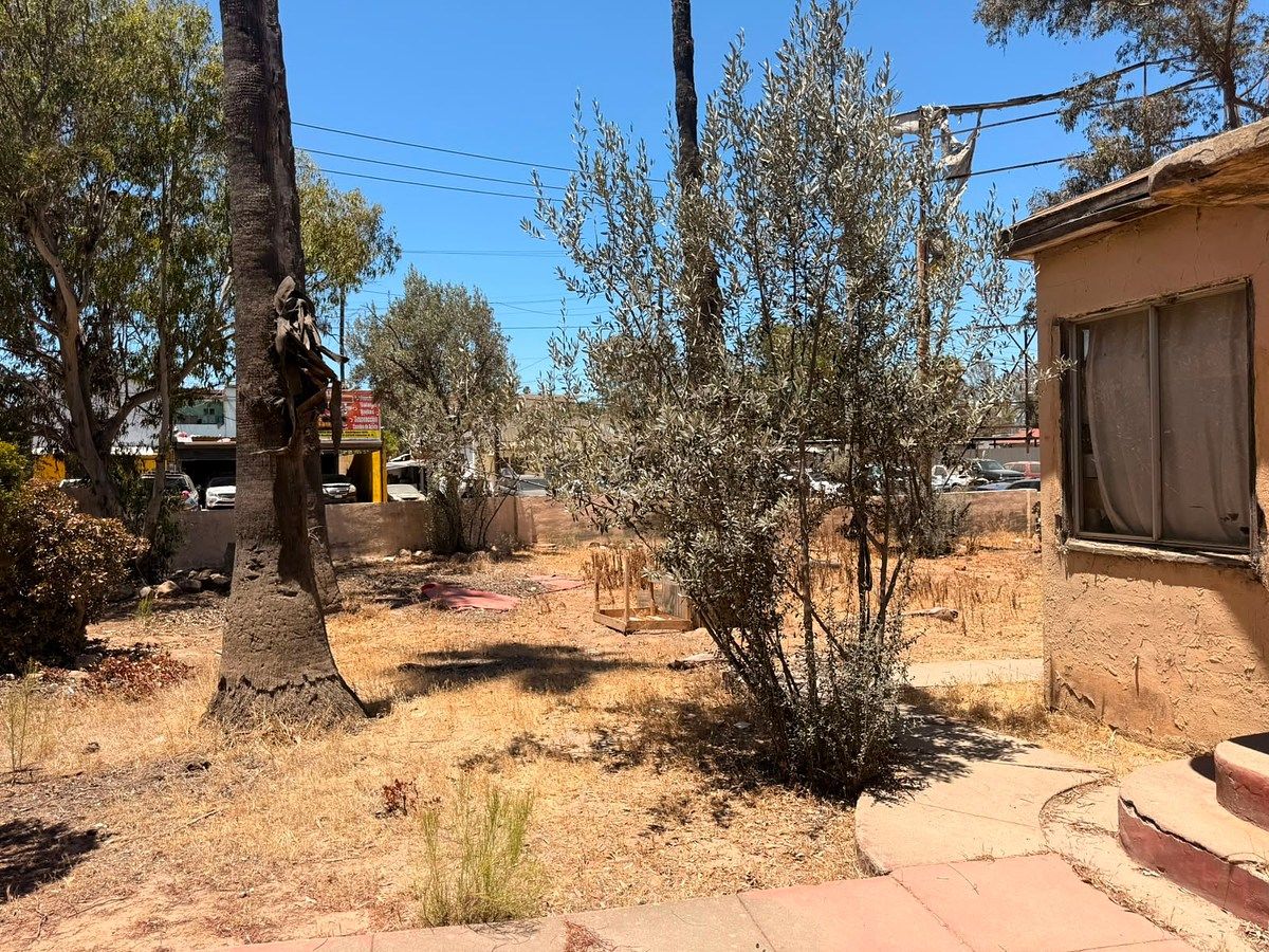 Commercial Lot in Presa Rodriguez, Tijuana, photo 9 of 31