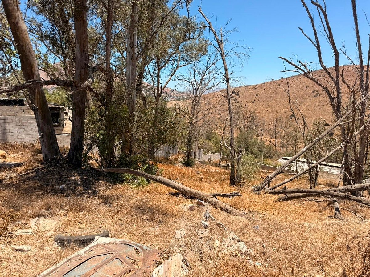 Commercial Lot in Presa Rodriguez, Tijuana, photo 16 of 31