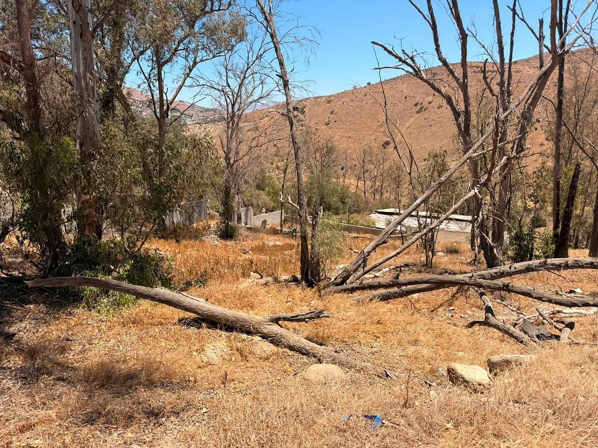 Commercial Lot in Presa Rodriguez, Tijuana, photo 17 of 31
