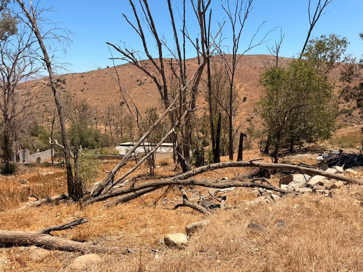 Commercial Lot in Presa Rodriguez, Tijuana, photo 18 of 31