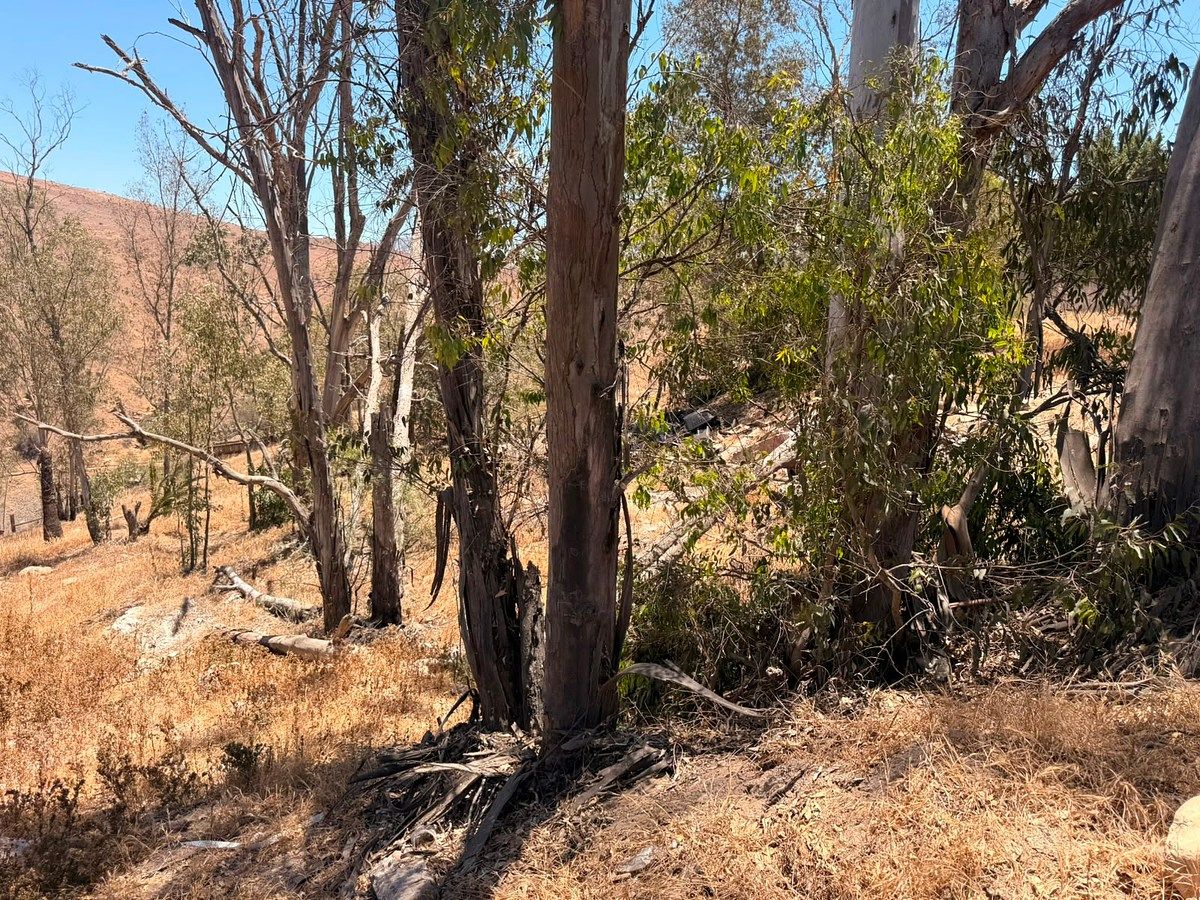 Commercial Lot in Presa Rodriguez, Tijuana, photo 27 of 31