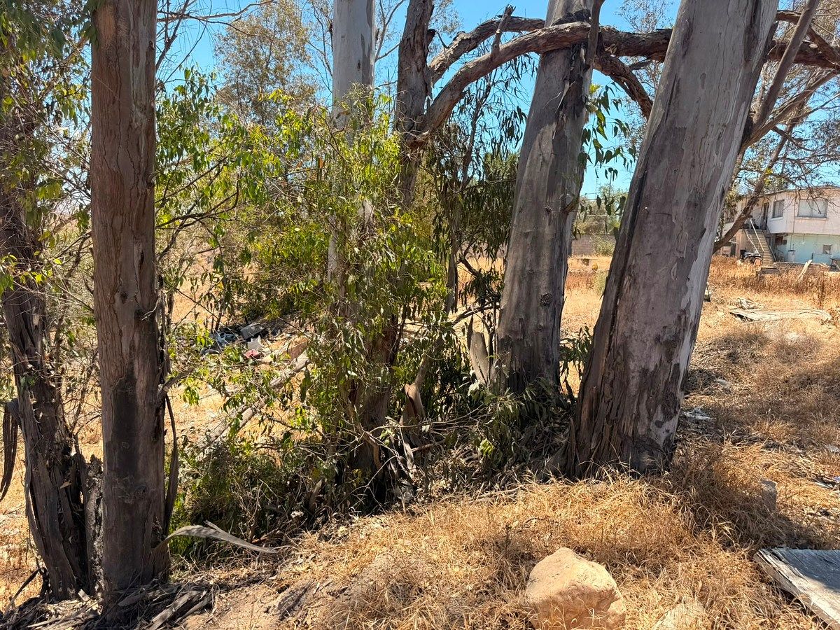 Commercial Lot in Presa Rodriguez, Tijuana, photo 31 of 31
