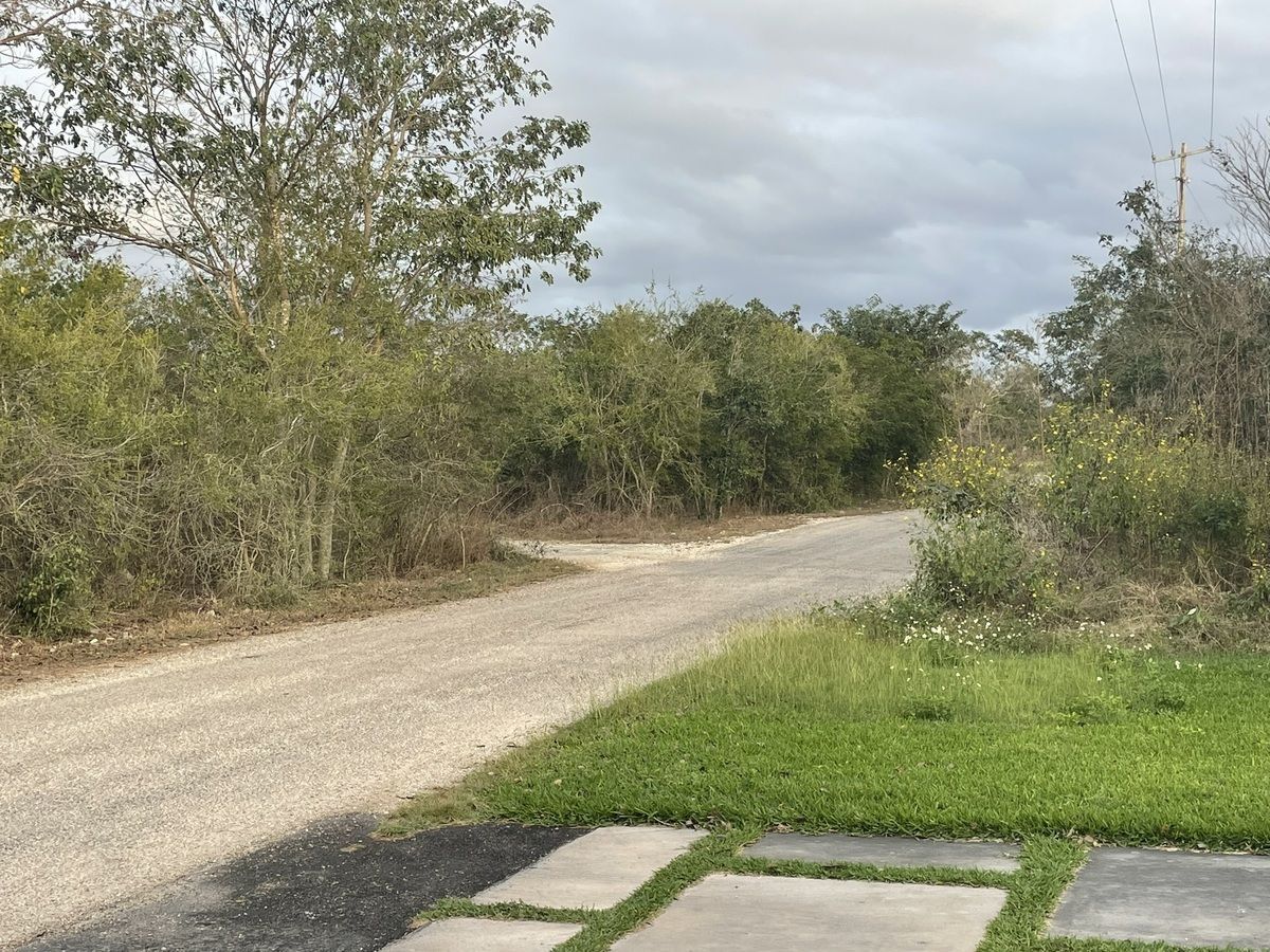 Lote em La Ceiba, Mérida, foto 10 de 16