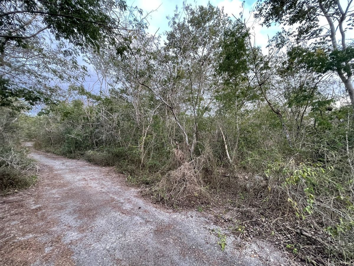 Lote em La Ceiba, Mérida, foto 15 de 16