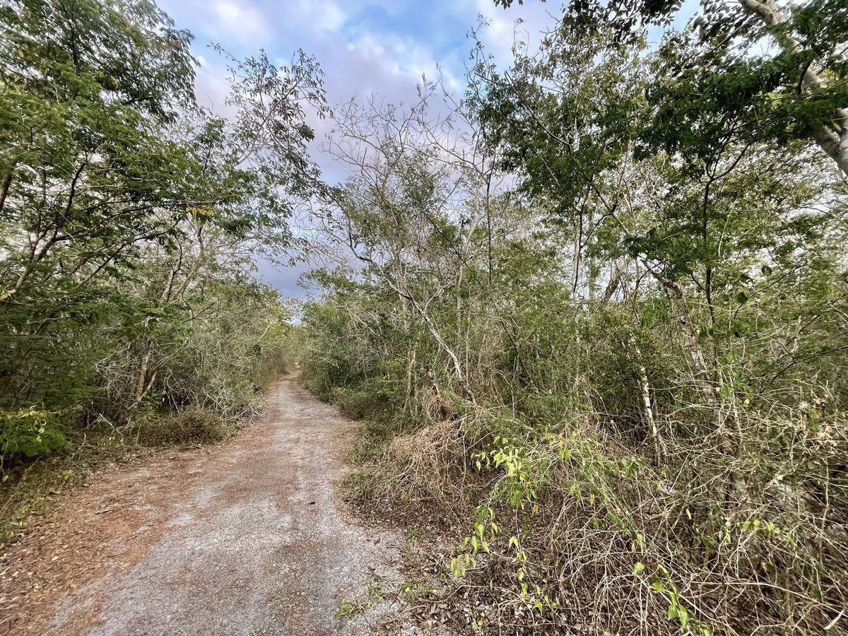 Lote em La Ceiba, Mérida, foto 16 de 16