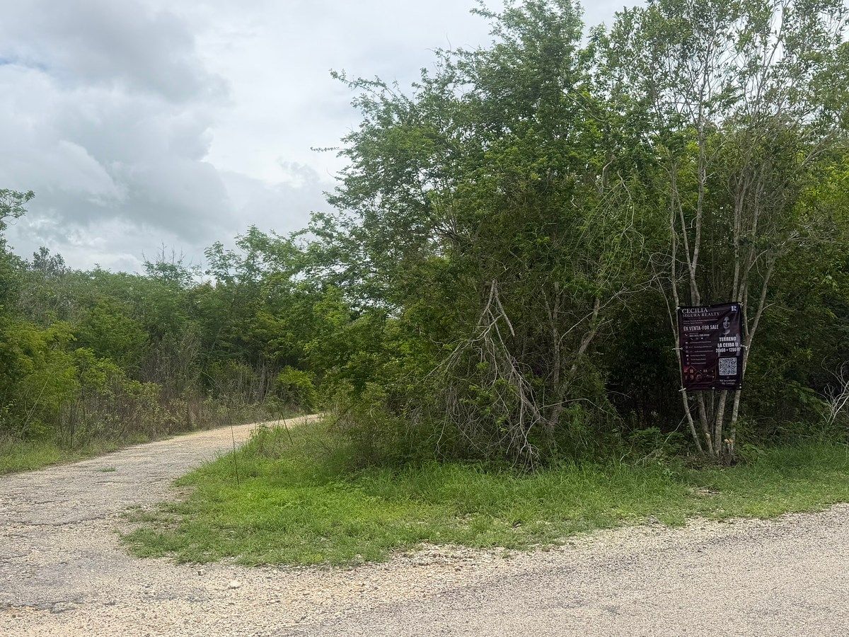 Lote em La Ceiba, Mérida, foto 13 de 16