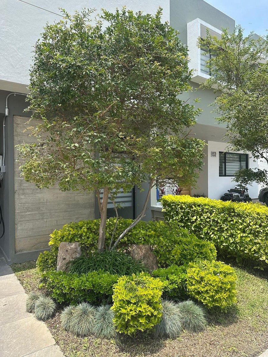 House in Valle Real, Zapopan, photo 4 of 23
