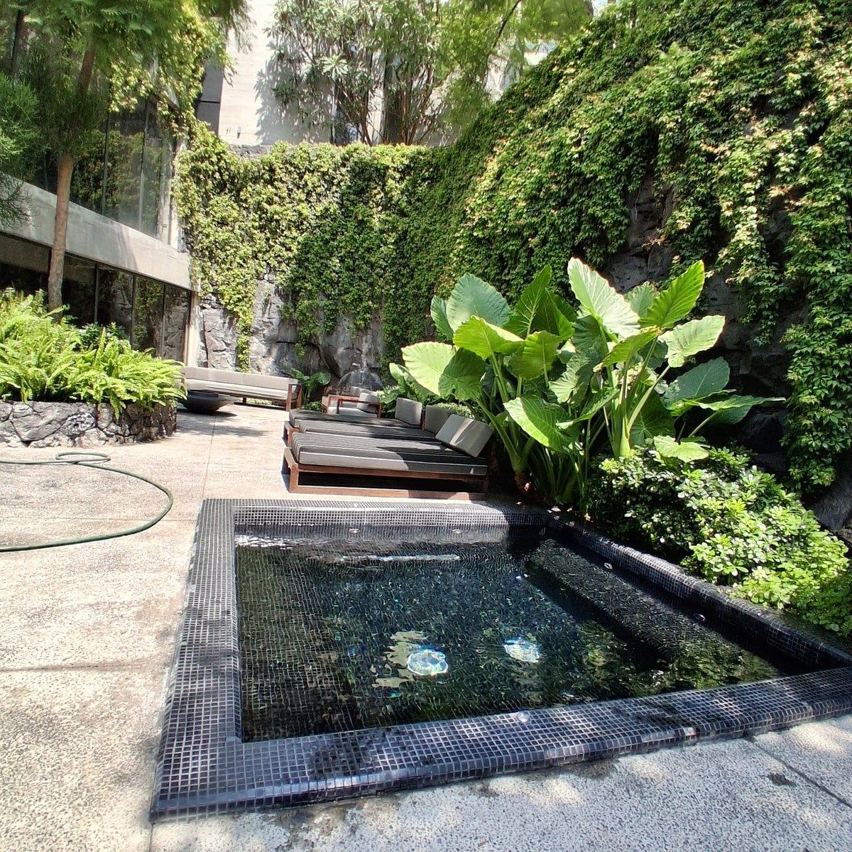 Apartment in Pueblo La Candelaria, Coyoacán, photo 6 of 23