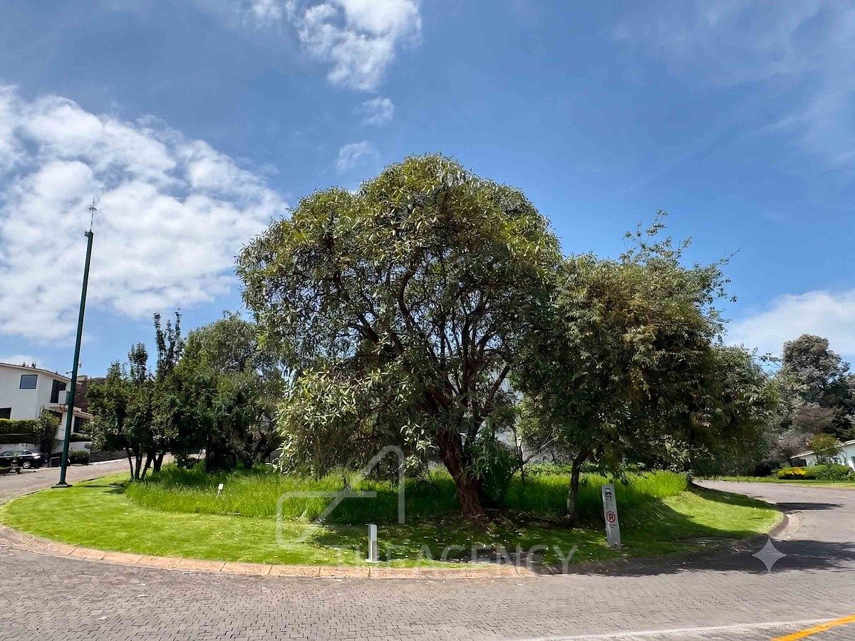 Terreno en venta club de golf los Encinos - foto 3