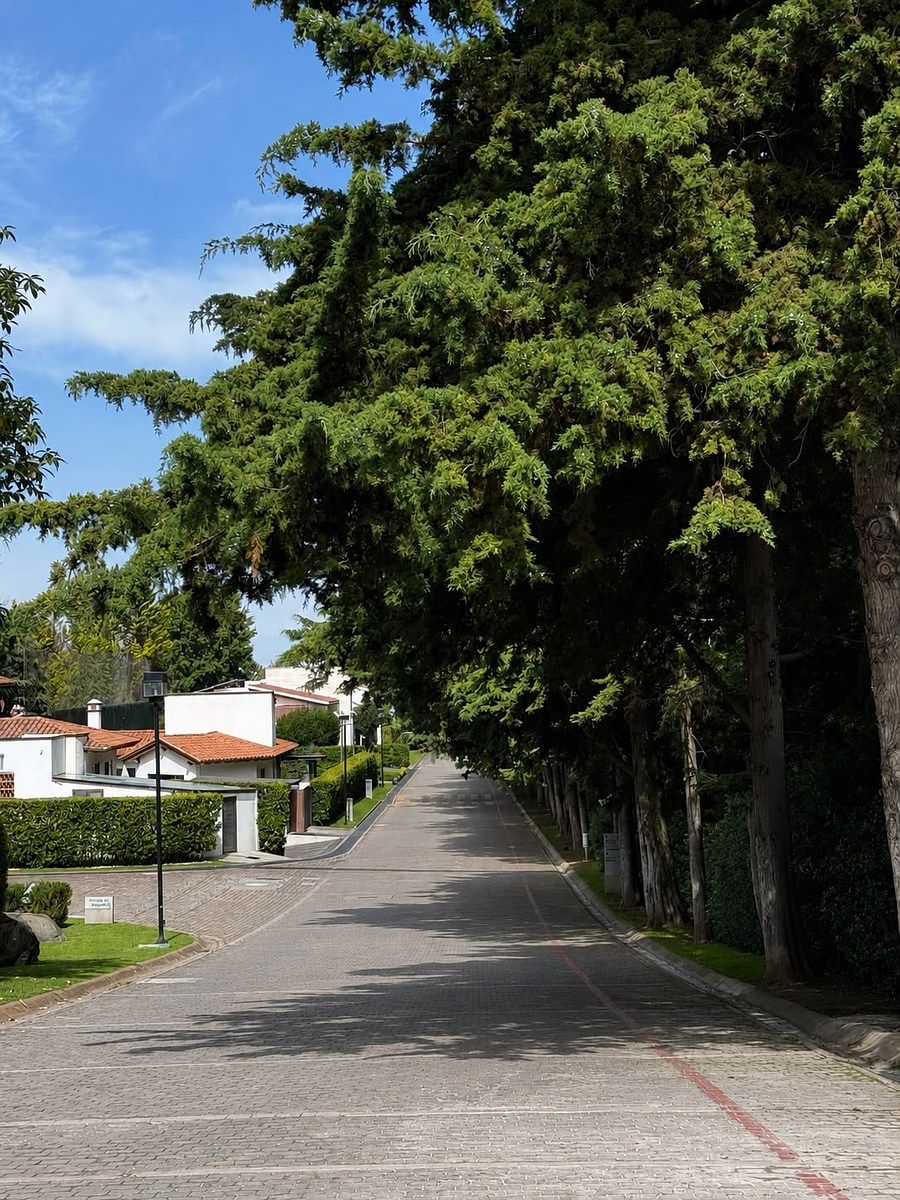 Terreno en venta club de golf los Encinos - foto 5