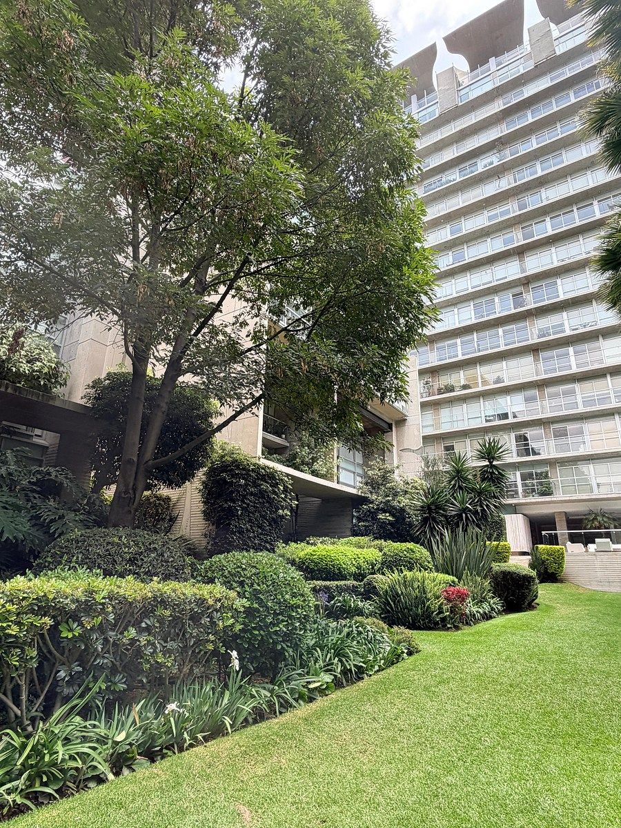Apartment in Ciudad Satélite, Naucalpan de Juárez, photo 4 of 43