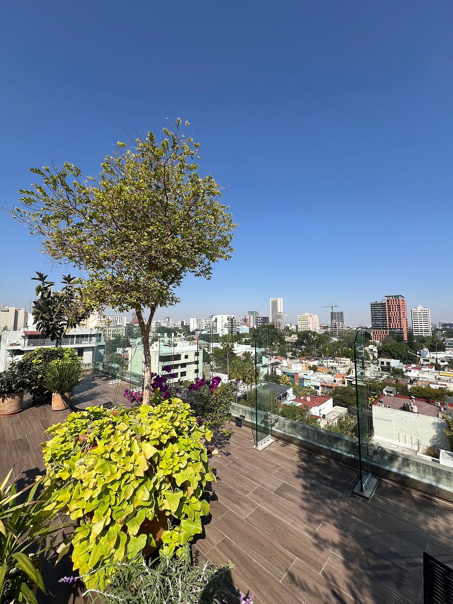 Apartment in Americana, Guadalajara, photo 25 of 27