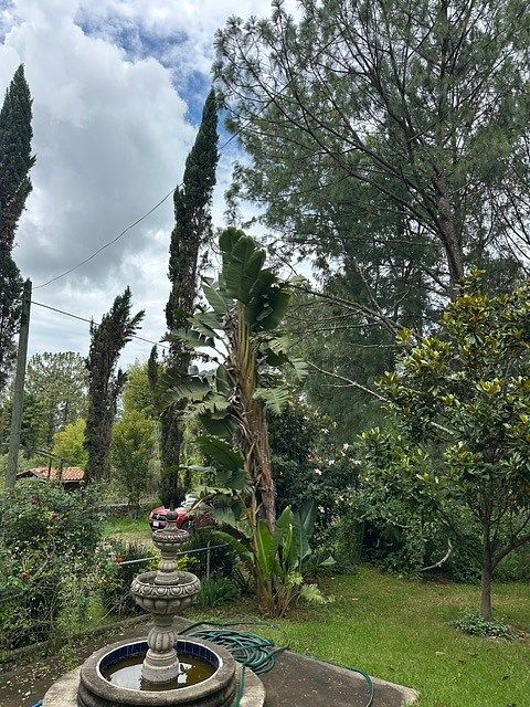 Casa em Tapalpa, Tapalpa, foto 17 de 21