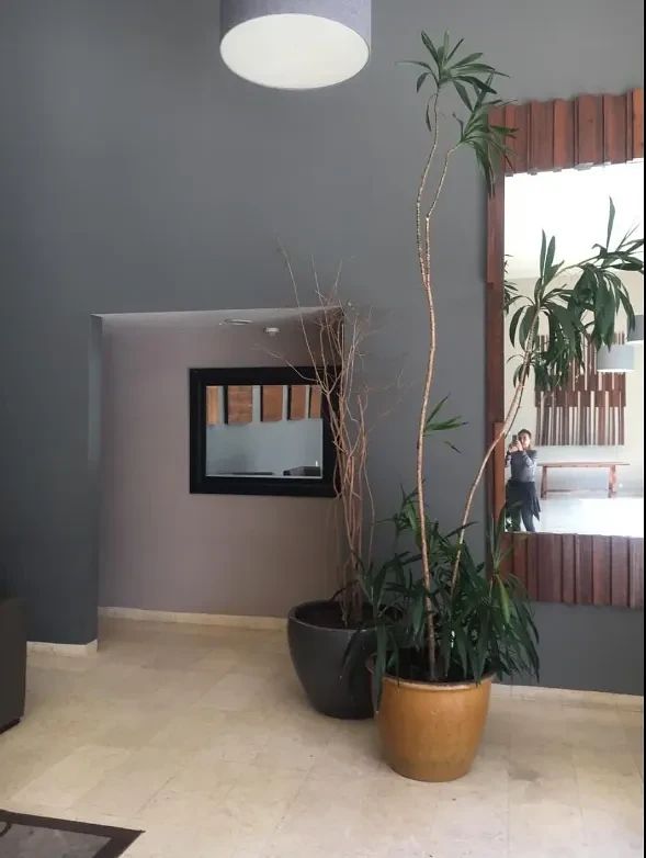 Departamento en Lomas de Bezares, Miguel Hidalgo, foto 30 de 36
