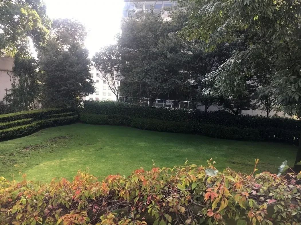 Departamento en Lomas de Bezares, Miguel Hidalgo, foto 36 de 36