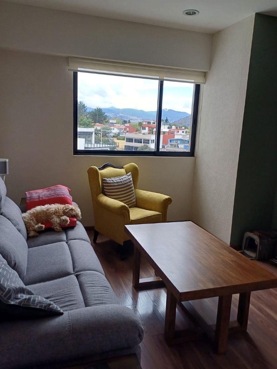 Apartment in Manzanastitla, Cuajimalpa de Morelos, photo 5 of 48