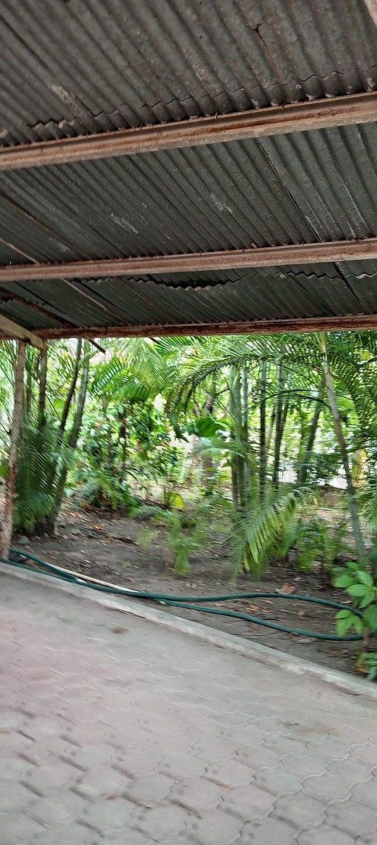Casa em Plan de Ayala, Tuxtla Gutiérrez, foto 5 de 15