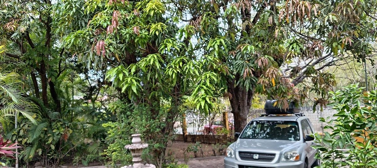 Casa em Plan de Ayala, Tuxtla Gutiérrez, foto 6 de 15