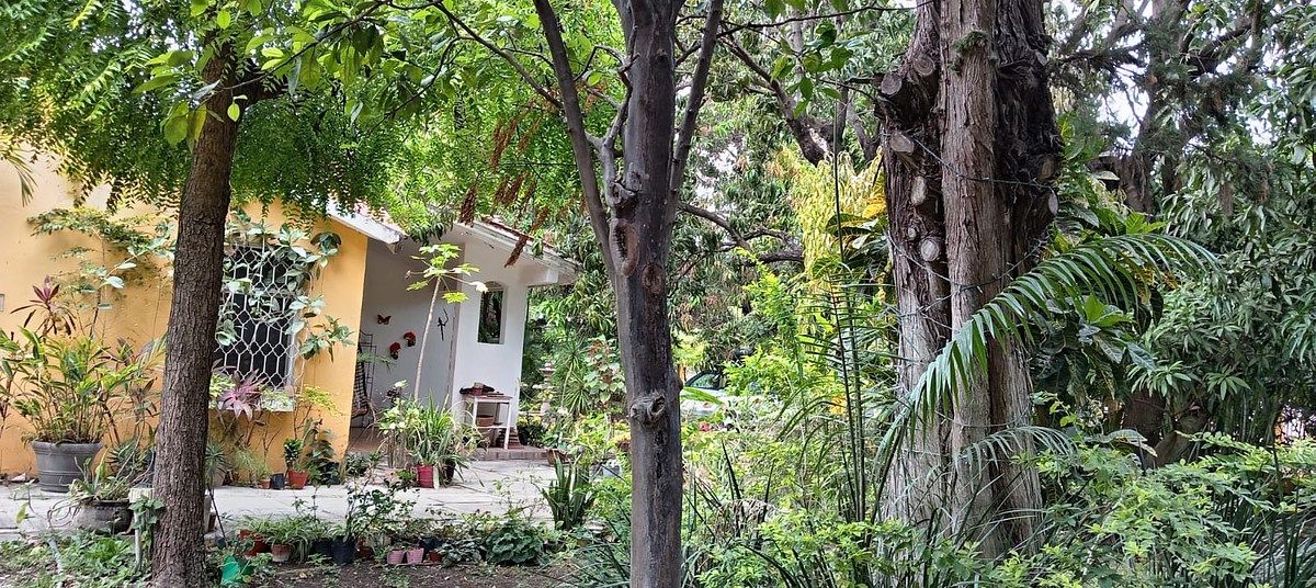 Casa em Plan de Ayala, Tuxtla Gutiérrez, foto 8 de 15