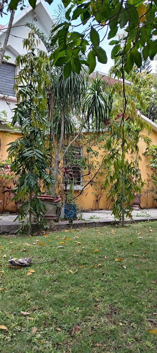 Casa em Plan de Ayala, Tuxtla Gutiérrez, foto 12 de 15
