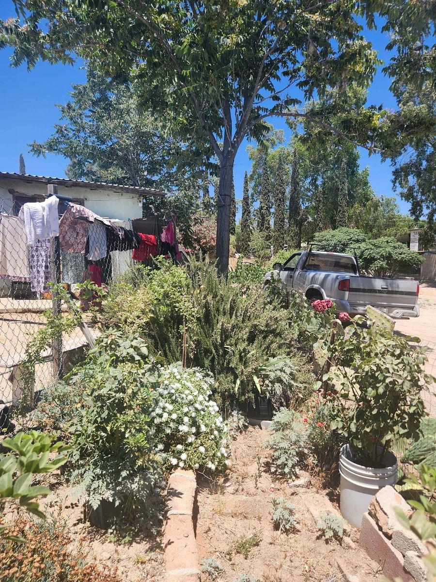 Terreno en Luis Echeverría Álvarez, Tecate, foto 3 de 3