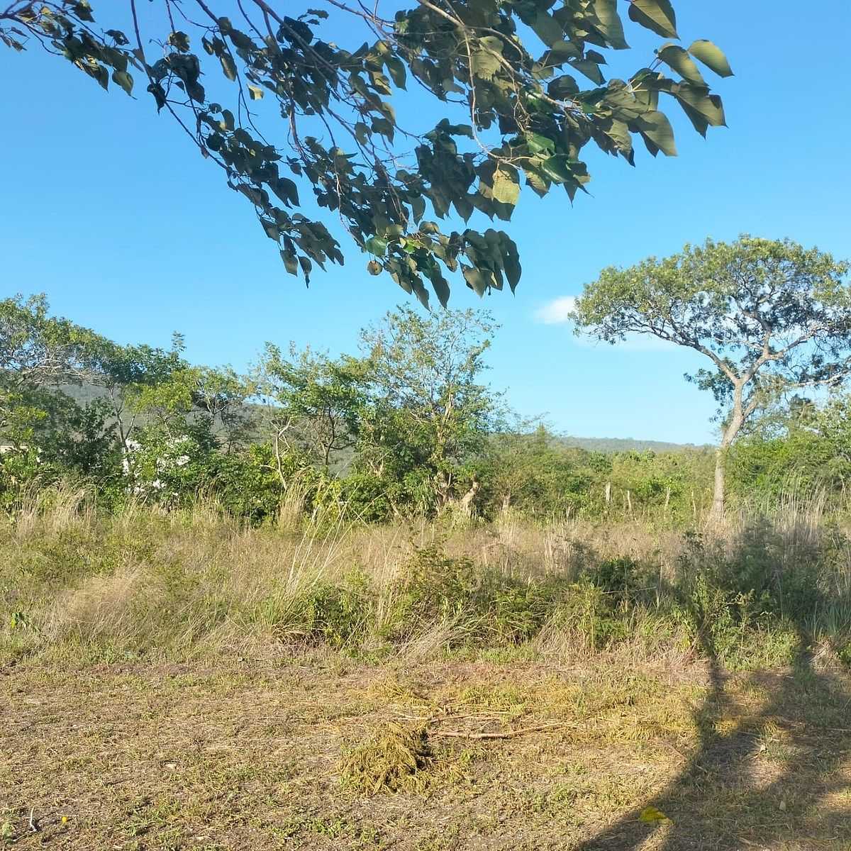 Lote em Cruz Blanca, Ocozocoautla de Espinosa, foto 2 de 9