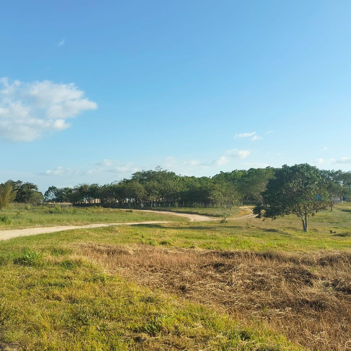 Lote em Cruz Blanca, Ocozocoautla de Espinosa, foto 3 de 9