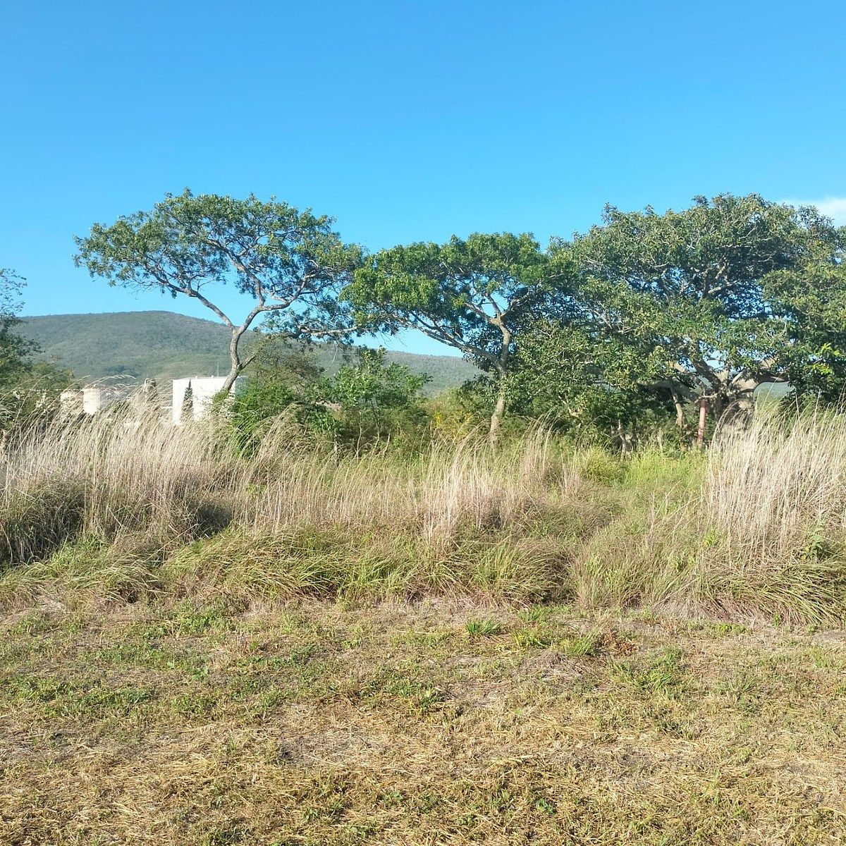 Lote em Cruz Blanca, Ocozocoautla de Espinosa, foto 2 de 9