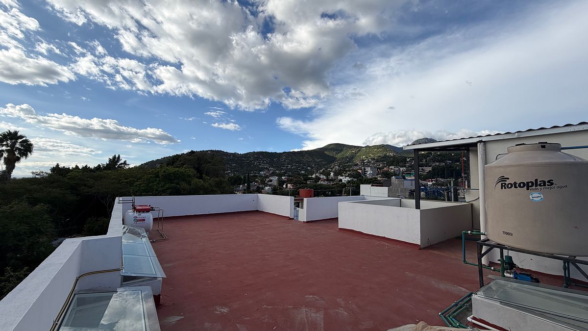 Terraza, photo 11 of 12