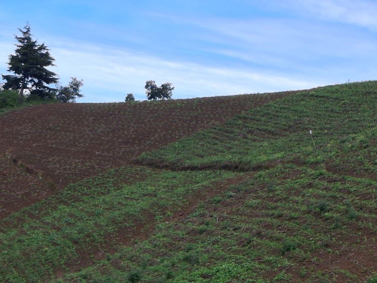 Finca en San Andrés Semetabaj, foto 9 de 19