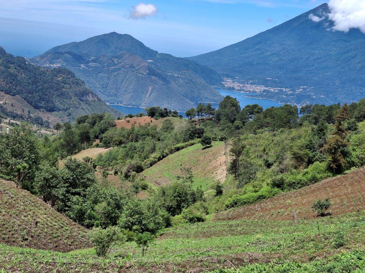 Finca en San Andrés Semetabaj, foto 6 de 19