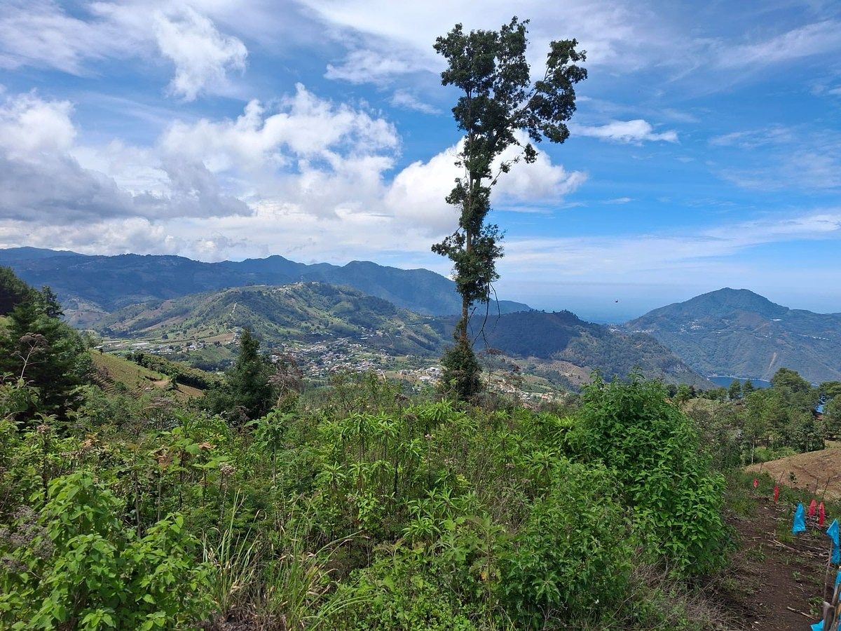Finca en San Andrés Semetabaj, foto 8 de 19