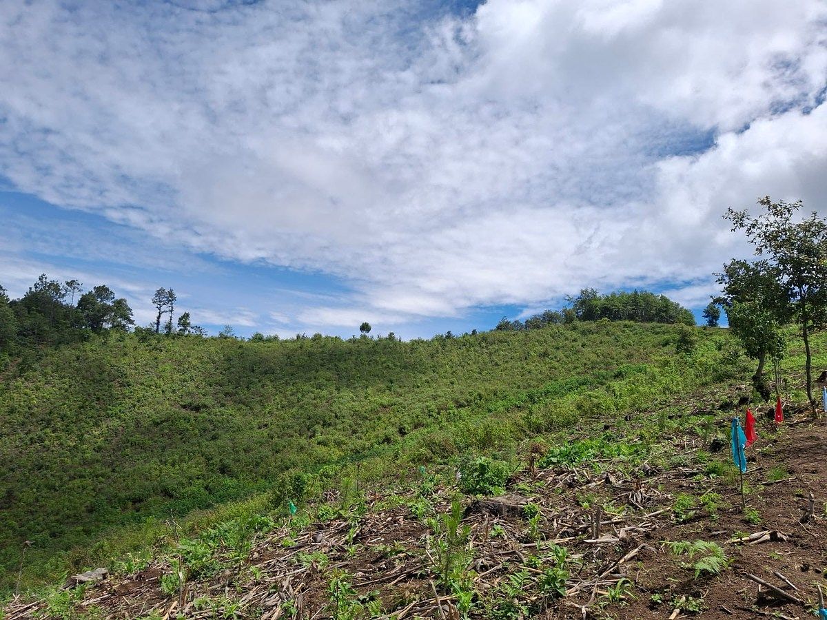 Finca en San Andrés Semetabaj, foto 7 de 19