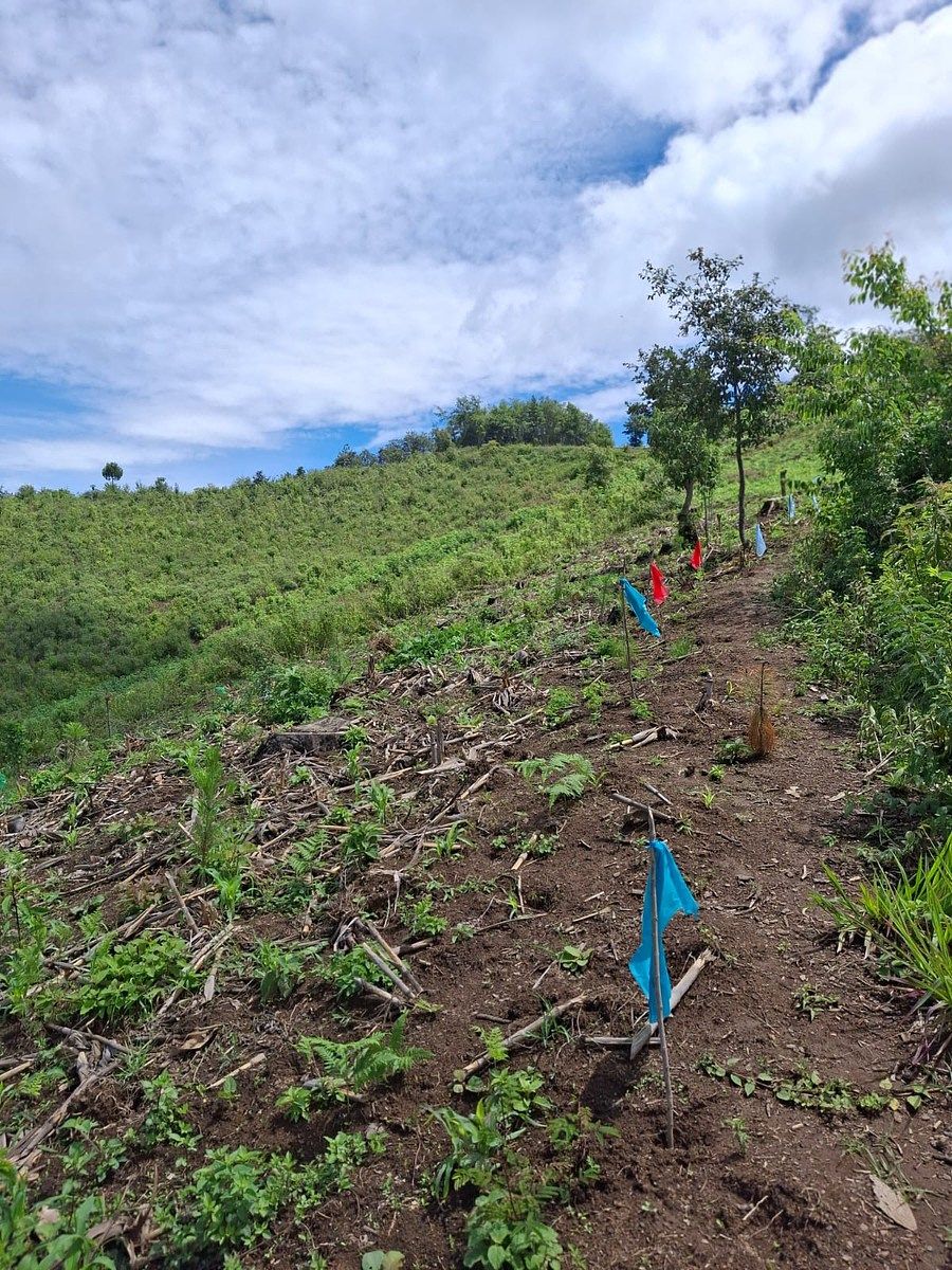Finca en San Andrés Semetabaj, foto 13 de 19