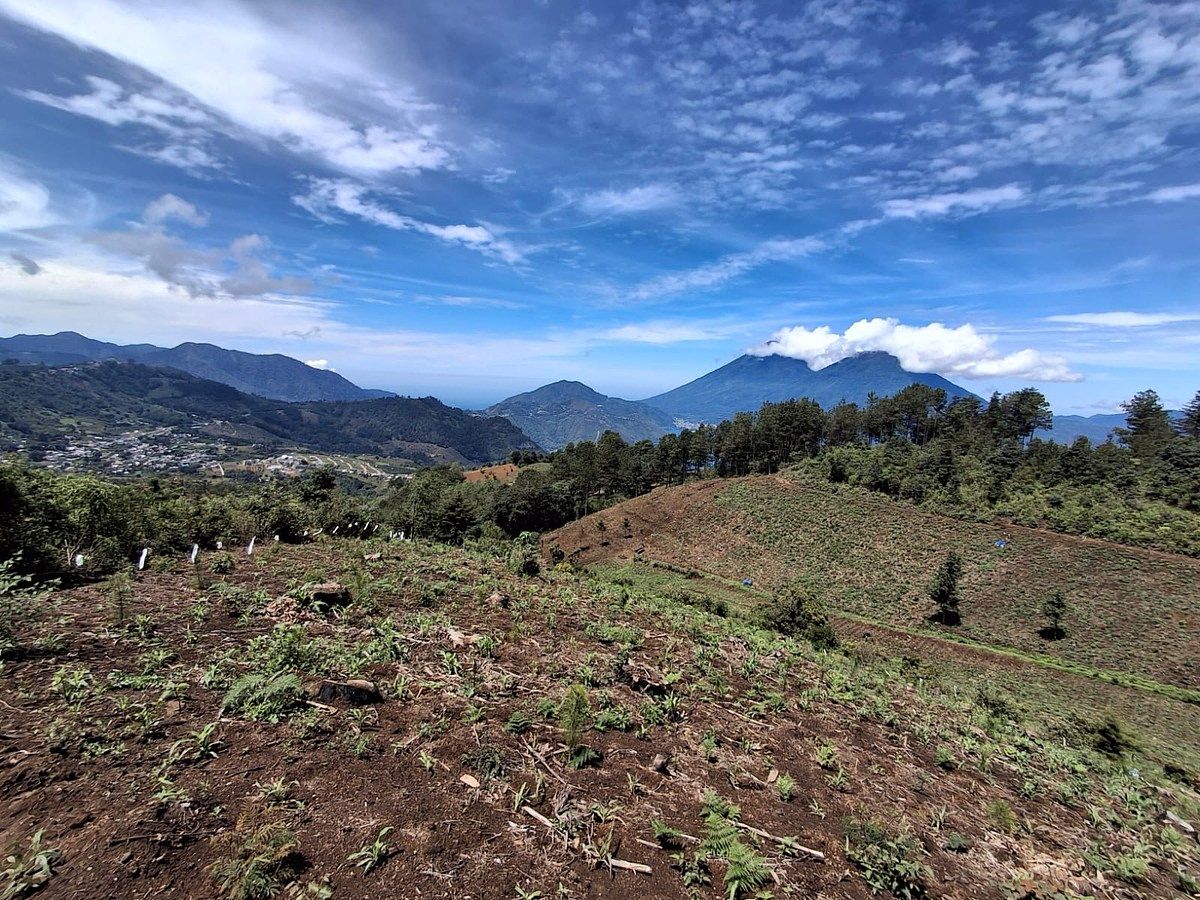 Finca en San Andrés Semetabaj, foto 11 de 19