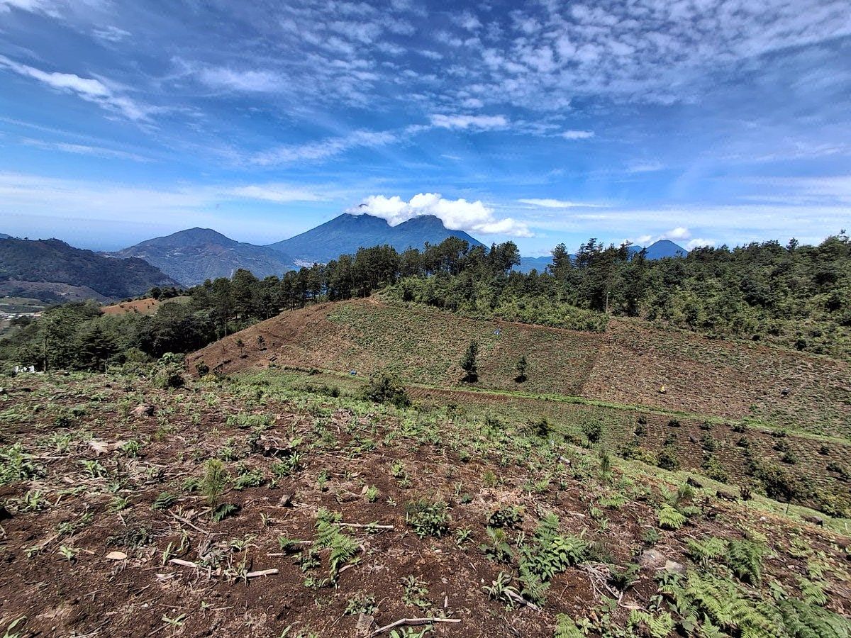 Finca en San Andrés Semetabaj, foto 12 de 19