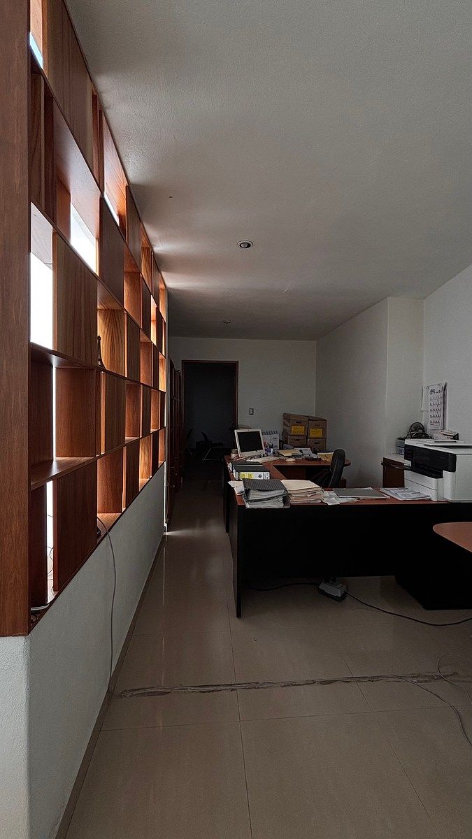 Sala Comercial em Lomas 4a Sección, San Luis Potosí, foto 4 de 6